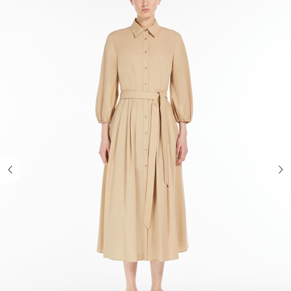 Weekend MaxMara shirt dress